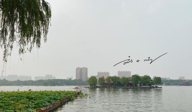 山东今年的gdp排名_山东省新晋“万亿俱乐部”城市,作为省会,GDP在省内仅排名第二