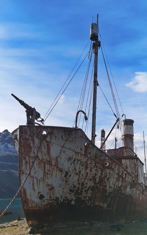 1次被发现在鲸鱼肚子中,被证实是真实存在|渔民|鲸鱼|卡布罗龙|捕鲸