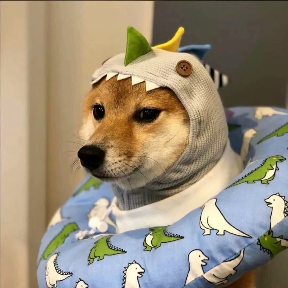 1024期头像微信头像