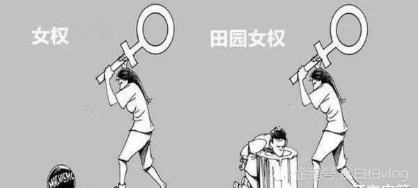 说起田园女权,相信很多人都有一定的了解,这类女性经常把男女平等挂在