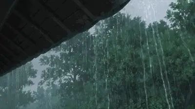交警提醒：雨中行车六大注意事项
