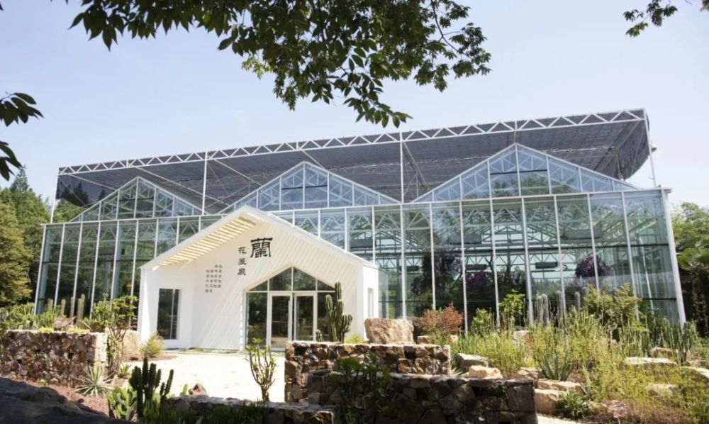 去年今日第十届中国花博会在崇明开幕