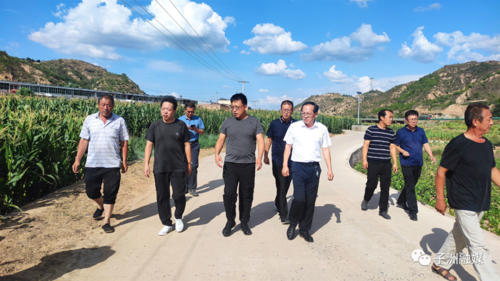 吕明辉调研督导周家碱镇抗旱工作