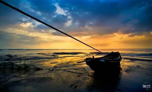 杭州湾这片滩涂美得让人窒息,这样美的杭州湾怎么会不宜居?