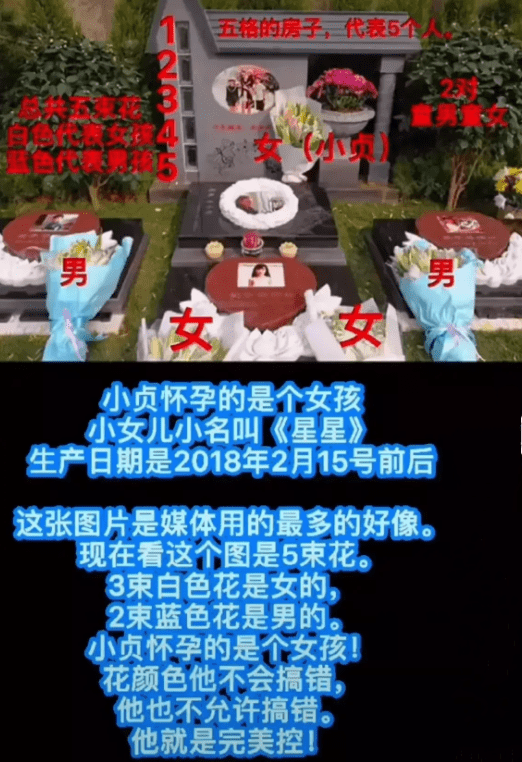 再添新物料,朱小贞去世前已怀孕7周,"绿城保安"竟是和尚?