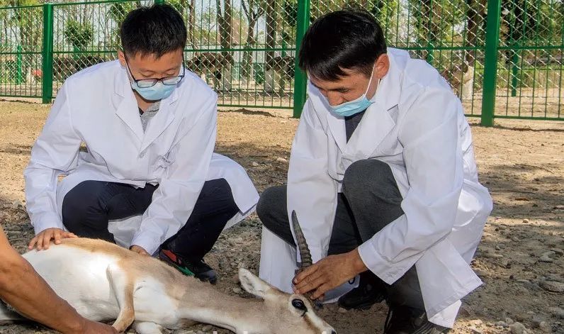 我市首个野生动物救护中心成立啦!