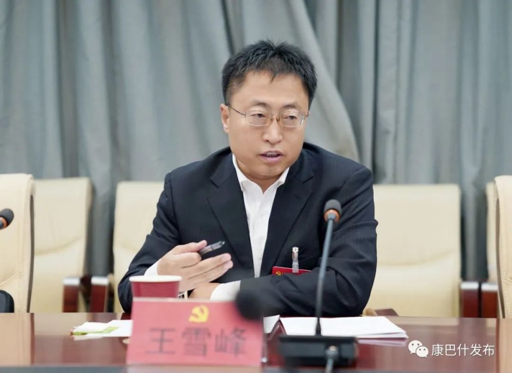 王雪峰参加区第二次党代会代表团分组讨论
