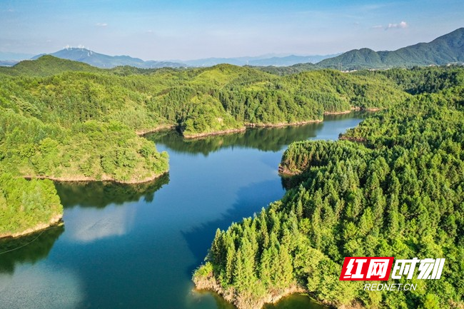 湿地资源的保护和综合治理,生态环境得到持续改善,绿水青山绘就美好