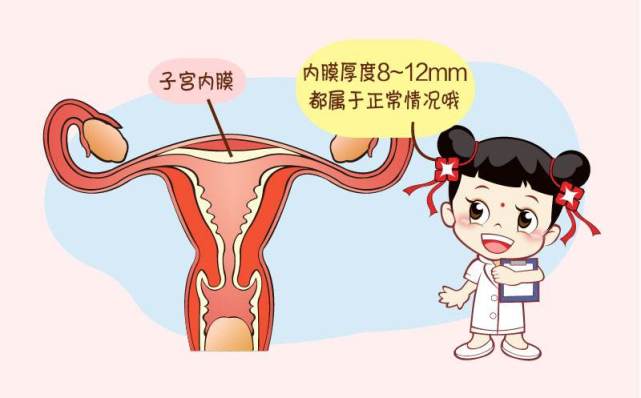 还与子宫的位置有关,如中位子宫,通常子宫内膜形态表现为"b"或"c"型