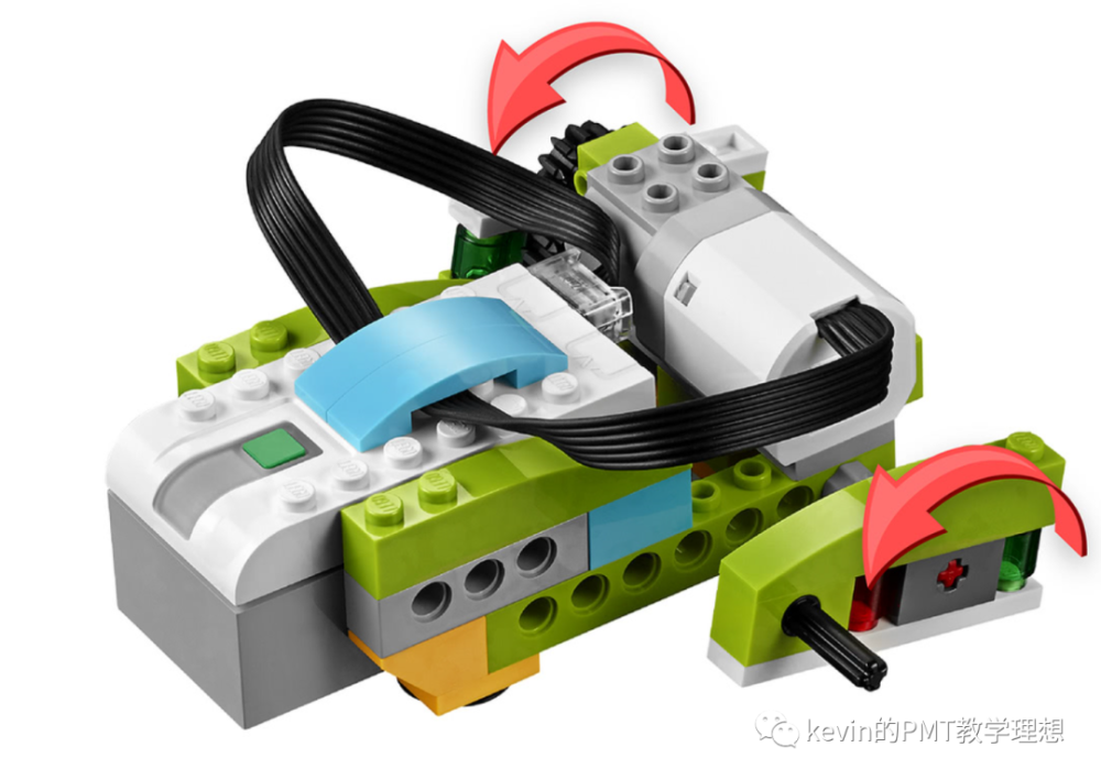 wedo20小学段青蛙的成长变化