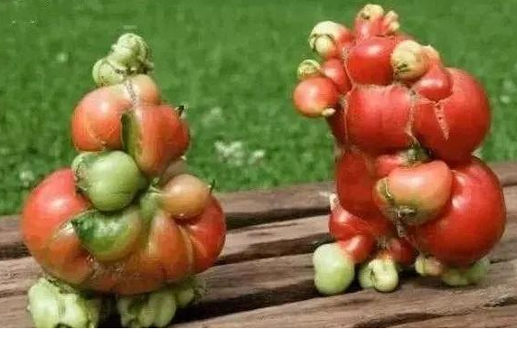 二战中日本广岛被原子弹轰炸过去了76年如今怎么样