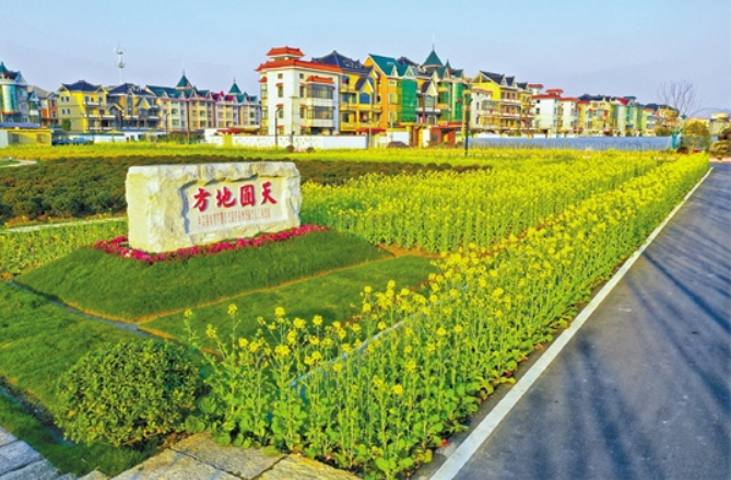 做大分好"蛋糕"萧山新街高质量打造商贸宜居现代化街道