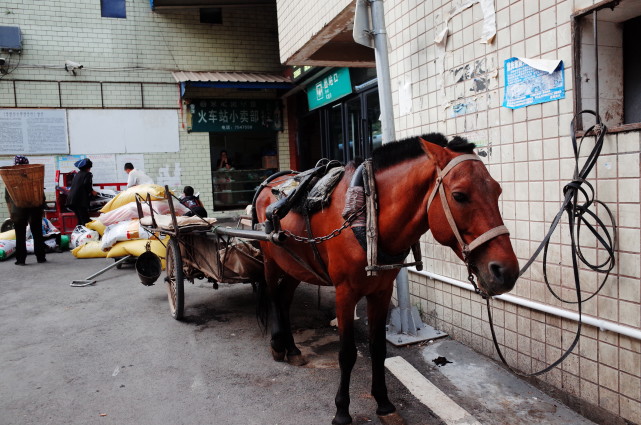 普雄出站口,等待拉貨的馬車 時代週報記者黎廣 攝百度詞條上的普雄