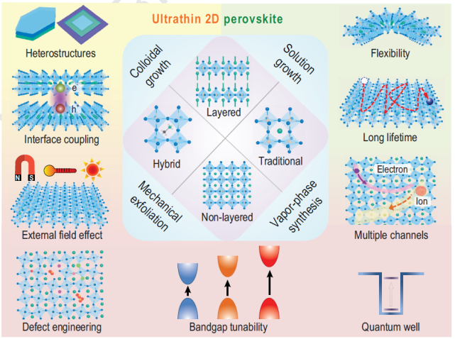 超薄二维钙钛矿结合了二维材料(例如异质结,界面耦合,外场调控等)和