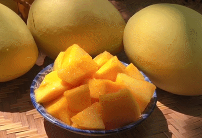 8元/整箱包邮|金龙|芒果|云南|果园|果农|果树