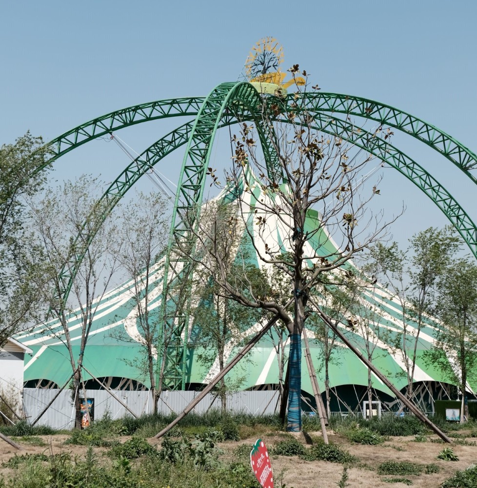 日照亲子游攻略一天半游玩遛娃神级打卡路线七站必去地很可