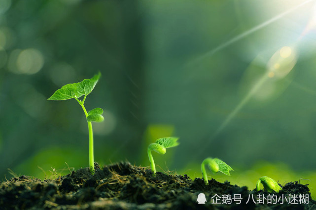 你认为哪张图片的生命力比较顽强,看看你今年需要作出哪些改变?