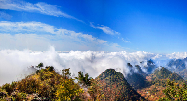 五里坡云海(央广网发 巫山县委宣传部供图)2017年,五里坡保护区申遗