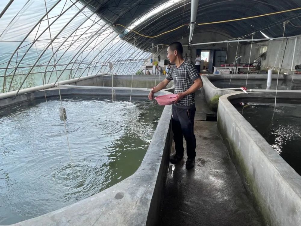 不服輸的養魚人安圖退役軍人李寶成