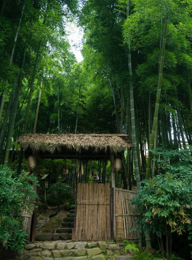 心安茅屋稳,性定菜根香_腾讯新闻