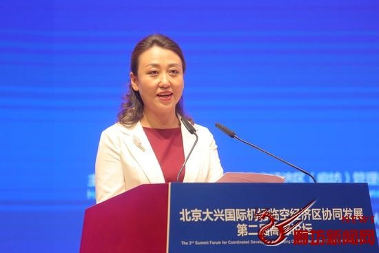 北京大兴国际机场临空经济区(廊坊)管委会党工委书记兼管委会主任丁凌