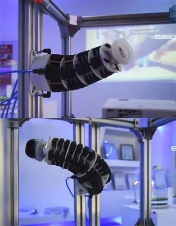 智能机器人"进化论":处在爆发性增长的临界点,仿生"新物种"涌现