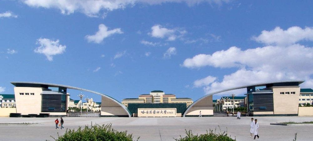 哈医大:因为我有a-学科!