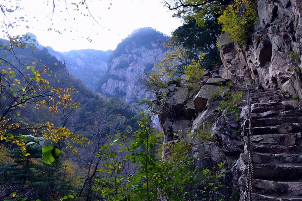 所以夏季出行的游客往往会选择凉爽的景区,太白县的青峰山就是一个
