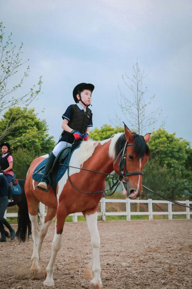 策马扬鞭孩子们的马术课开始了
