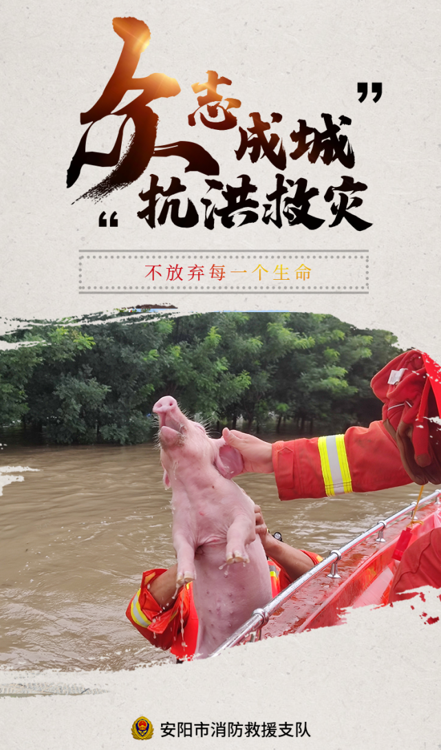 一组抗洪海报致敬乘风破浪的“守护者”！