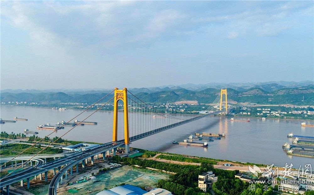 一跨过江让路中华鲟 湖北宜昌伍家岗长江大桥建成通车