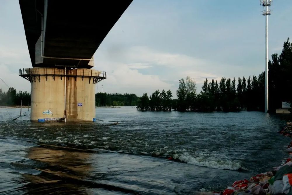 来源:扶沟县爱心动协会