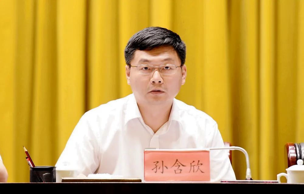 市委副书记,碧江区委书记孙含欣.