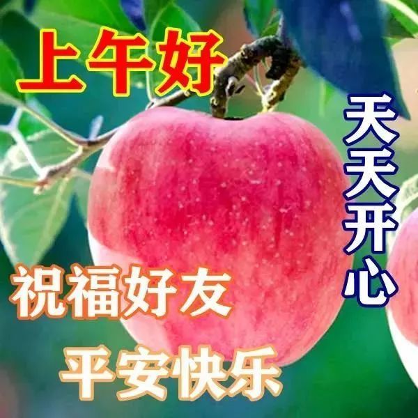 早上好朋友朋友圈早安漂亮問候祝福語圖片清晨會動的早上好鮮花帶字