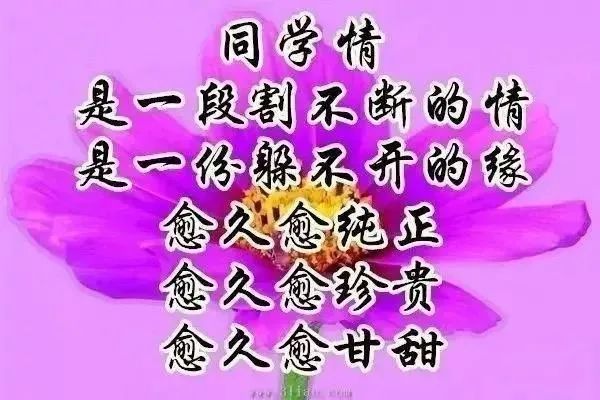 8張夏日創意好看的老同學早安問候祝福圖片免打字老同學早上好表情