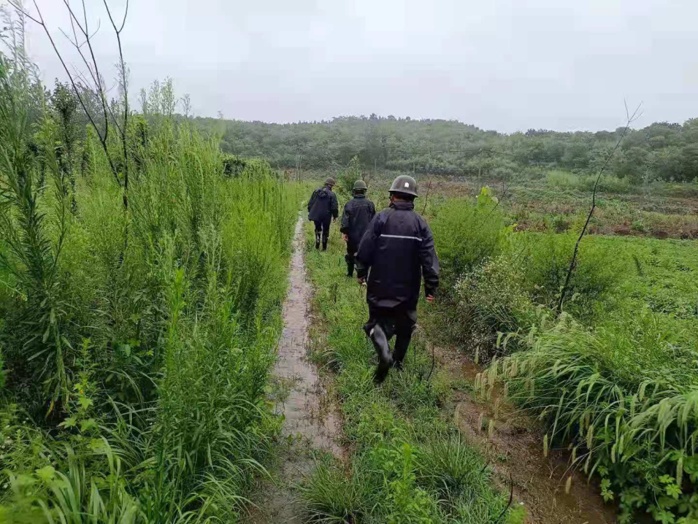 盱眙县桂五镇:防疫防汛两手抓,凝心聚力显担当