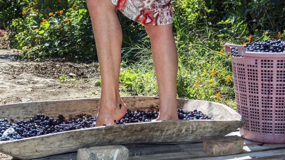 为啥脚踩酸菜不行脚踩葡萄就可以