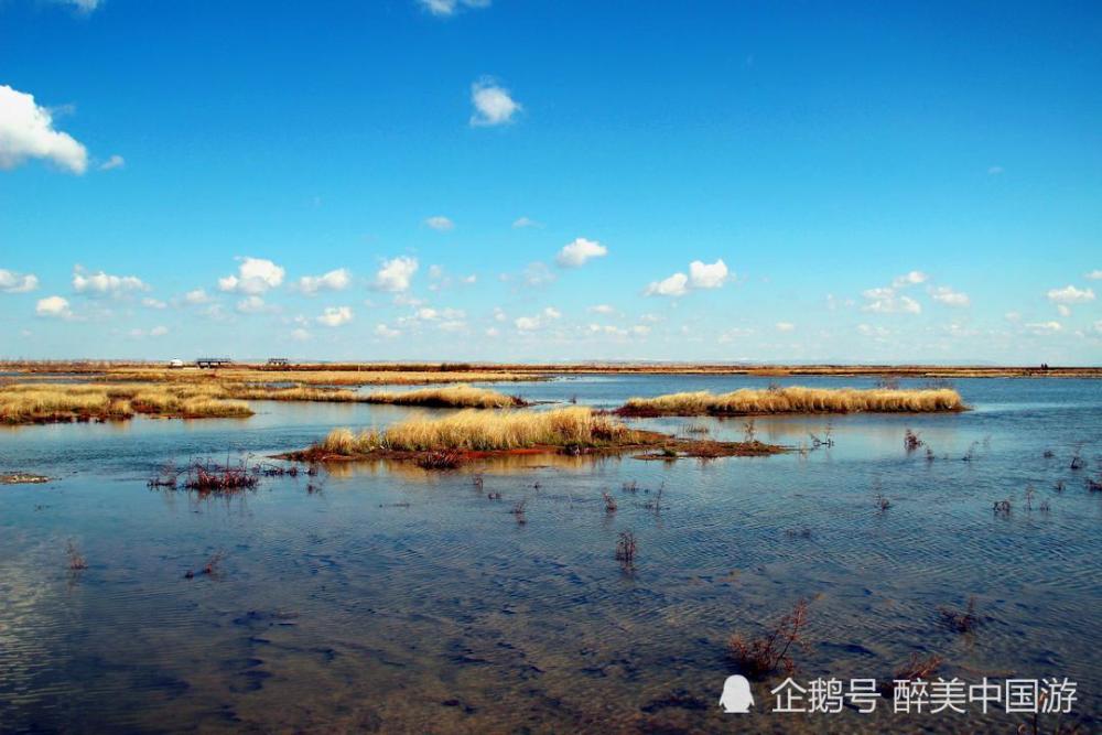 探訪達裡諾爾湖綠草碧水天高水闊相映成趣風景如畫