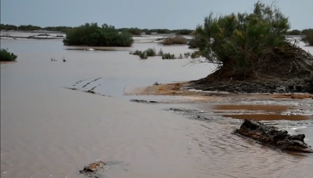 塔克拉玛干沙漠暴发洪水是气候异常导致还是每年都发生