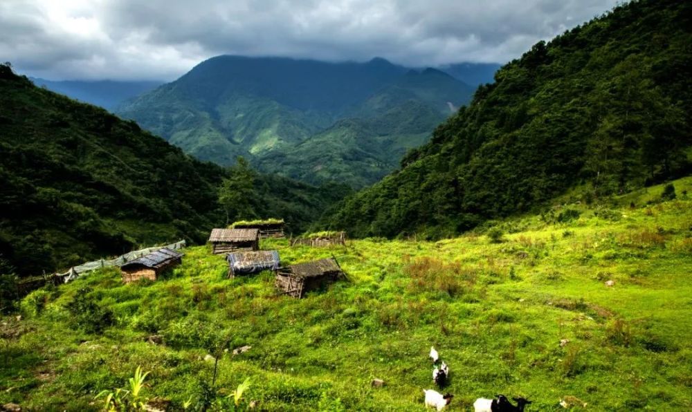 马边的这个村落藏着我们向往的夏日秘境
