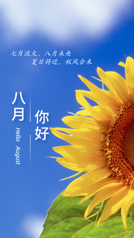 八月你好迎接八月的文案海报来啦