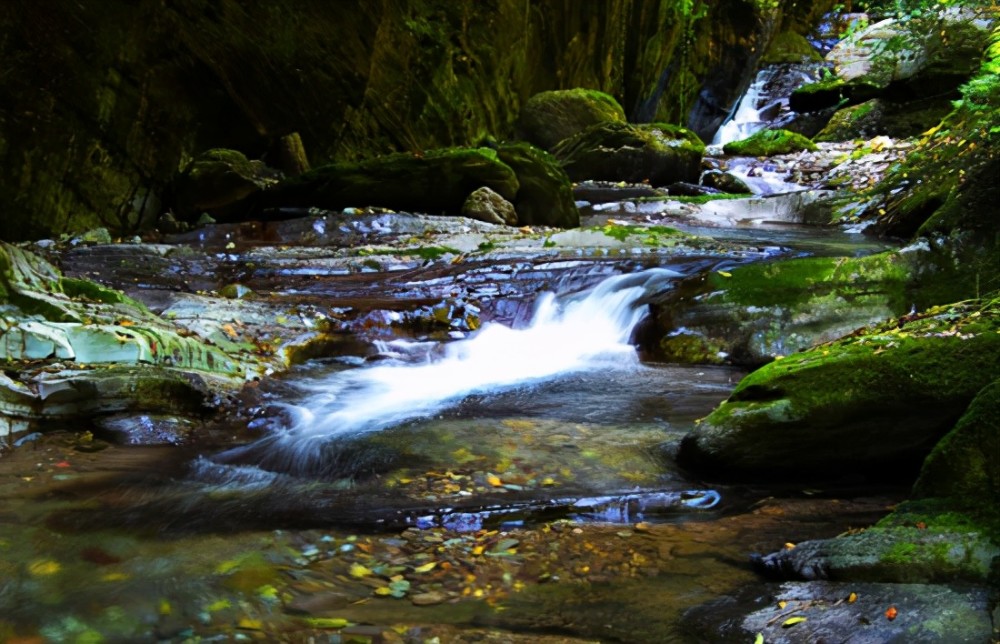 贵州有一天然清凉世界有山有水没门票年均气温仅有17度