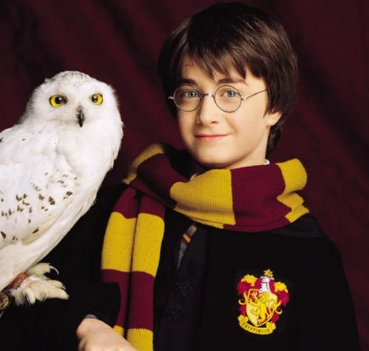 哈利波特还有两个非常要好的朋友赫敏·格兰杰和罗恩·韦斯莱