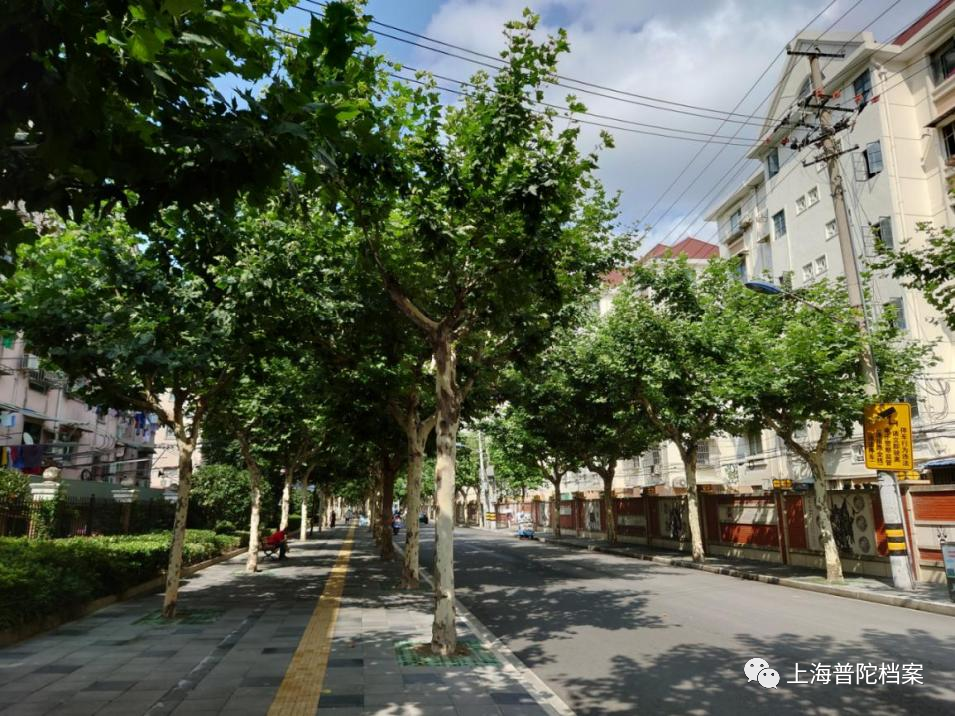 2021年6月,洛川路街景