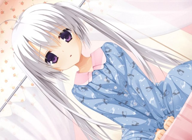 有关galgame的学术报告|游戏|文字冒险|美少女游戏