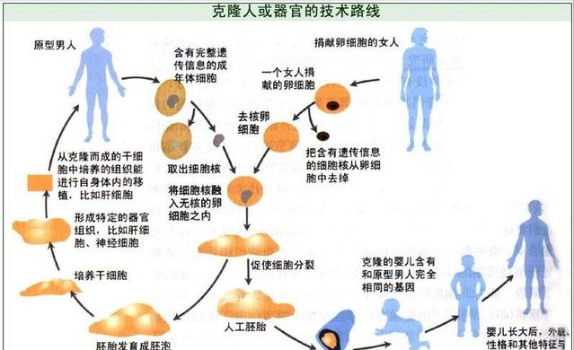 克隆人禁止图片