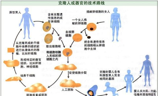 马斯克大脑芯片 加上克隆技术 意味着人类离永生更近一步了 全网搜