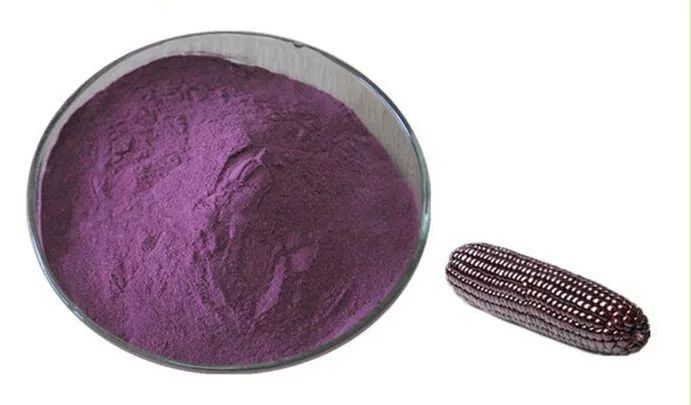 高于普通水稻,小麦等主要粮食作物几十倍;与鲜蓝莓的花青素含量相当