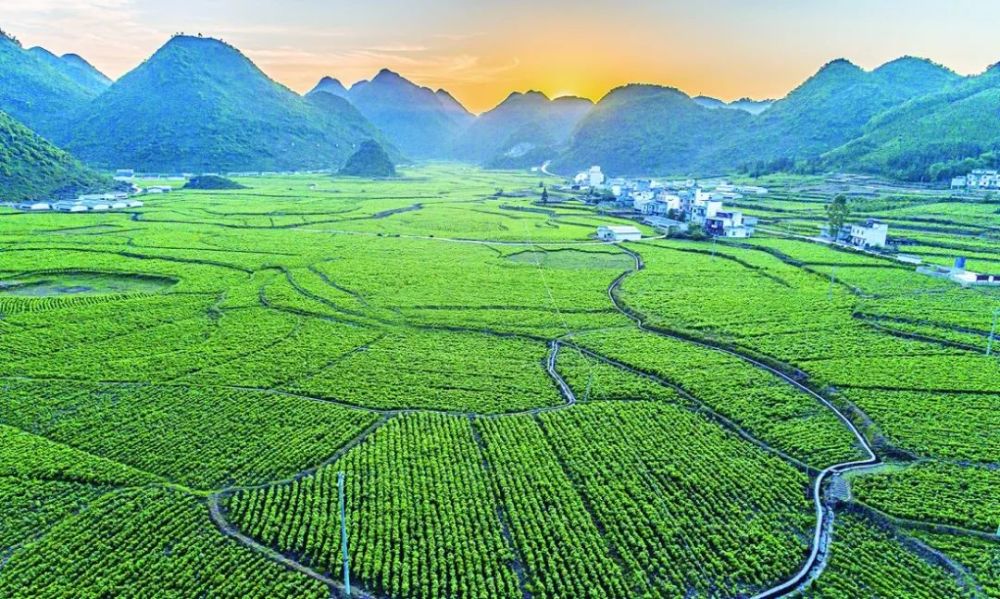 百色乡村奔小康|看看田林哪些地方上镜了～_腾讯新闻