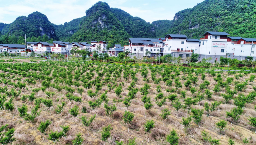 百色乡村奔小康|看看田林哪些地方上镜了～_腾讯新闻